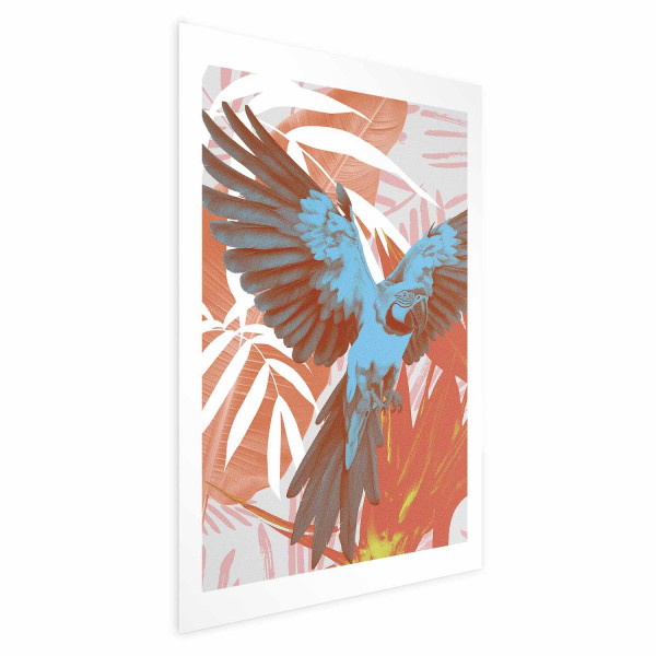 Plakat Egzotyczne skrzydła 29,7x42 cm 588343