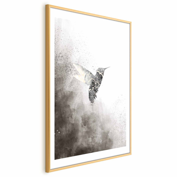Plakat Etniczny koliber 40x60 cm 582552