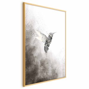 Plakat Etniczny koliber 60×90 cm 585695