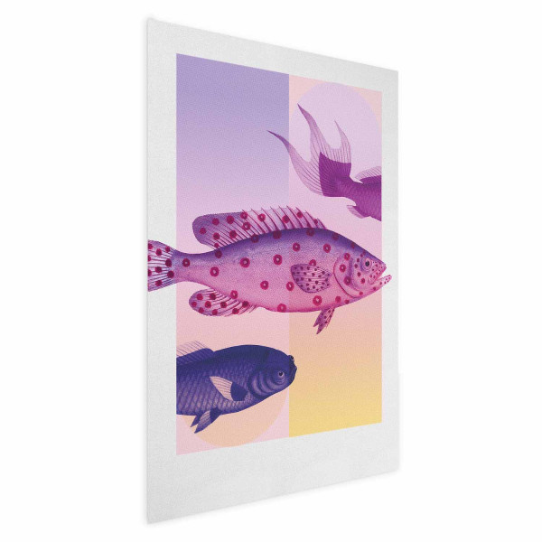 Plakat Fantazyjne Ryby 40x60 cm 589732