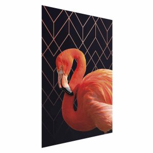 Plakat Flaming solo 60×90 cm 581125 Plakat Flaming solo 60×90 cm 581125