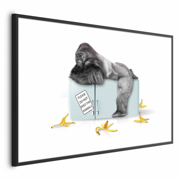Plakat Głodny goryl 60x40 cm 586245