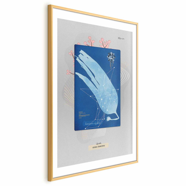 Plakat Glon 29,7x42 cm 589914