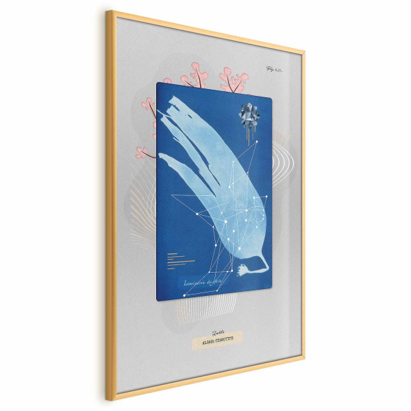 Plakat Glon 40x60 cm 578603