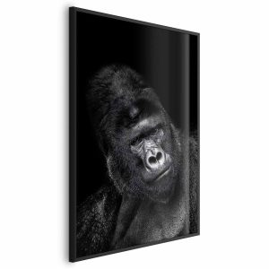 Plakat Goryl 21×30 cm 578761 Plakat Goryl 21×30 cm 578761