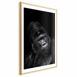 Plakat Goryl 21×30 cm 584952 Plakat Goryl 21×30 cm 584952