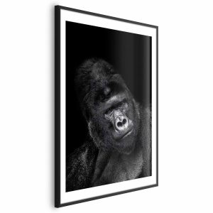 Plakat Goryl 29,7×42 cm 580414 Plakat Goryl 29,7×42 cm 580414