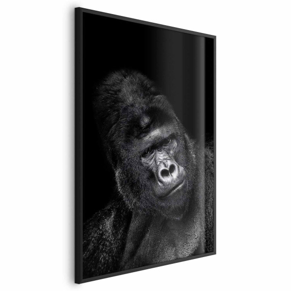 Plakat Goryl 40x60 cm 587522