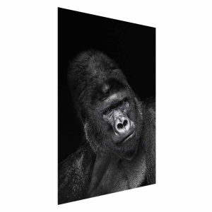 Plakat Goryl 40×60 cm 587924 Plakat Goryl 40×60 cm 587924