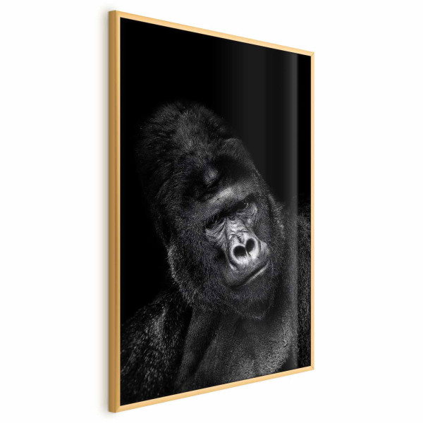 Plakat Goryl 40x60 cm 587462