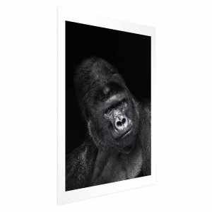 Plakat Goryl 60×90 cm 579078 Plakat Goryl 60×90 cm 579078
