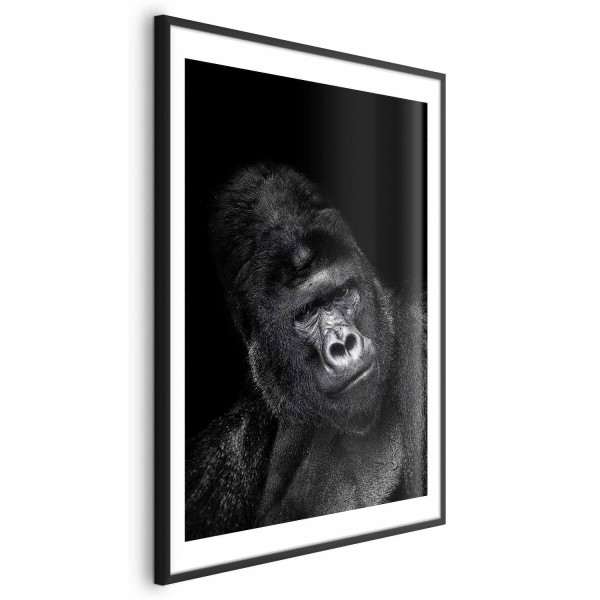 Plakat Goryl 60x90 cm 583494