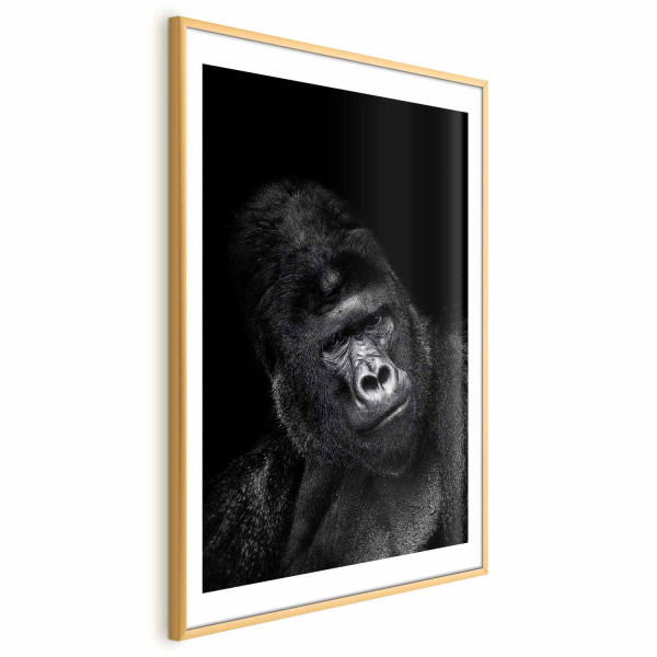 Plakat Goryl 60x90 cm 578823