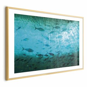 Plakat Gromada ryb 42×29,7 cm 580186 Plakat Gromada ryb 42×29,7 cm 580186