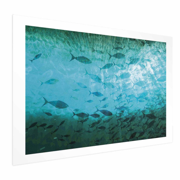 Plakat Gromada ryb 42x29,7 cm 589883