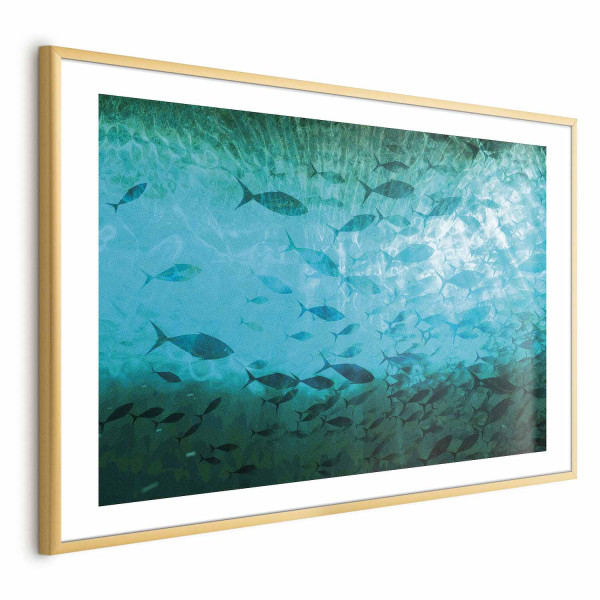 Plakat Gromada ryb 90x60 cm 588928