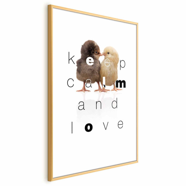 Plakat Keep Calm 40x60 cm 583080