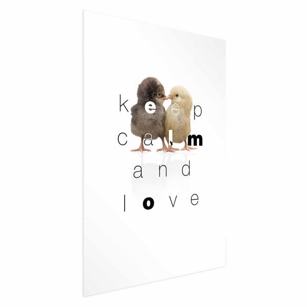 Plakat Keep Calm 60x90 cm 580190