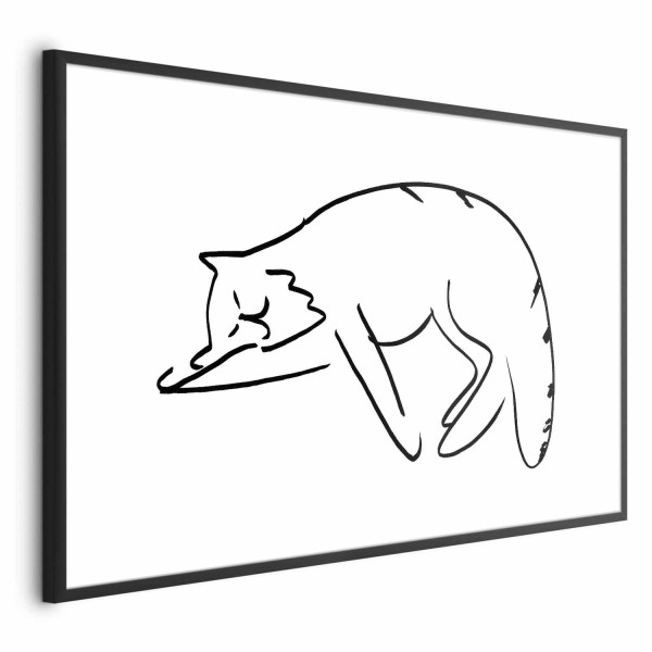 Plakat Kocie sny 42x29,7 cm 582041