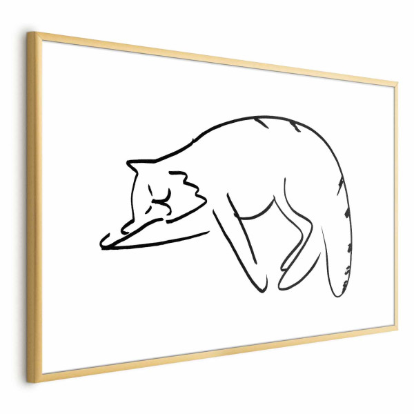 Plakat Kocie sny 60x40 cm 587376