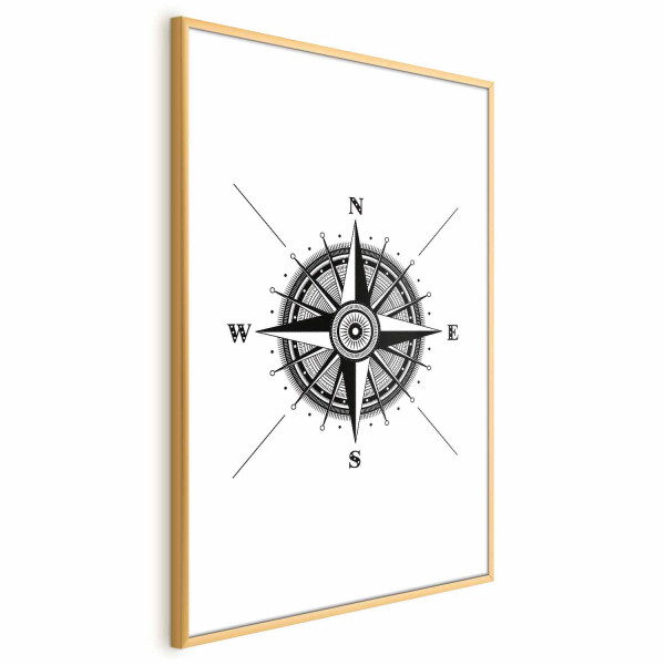 Plakat Kompas 60x90 cm 578108
