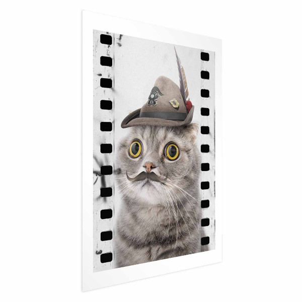 Plakat Kot w kapeluszu 21x30 cm 583117