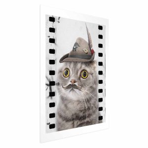 Plakat Kot w kapeluszu 40×60 cm 580666