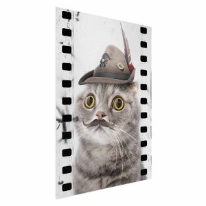Plakat Kot w kapeluszu 60×90 cm 587800