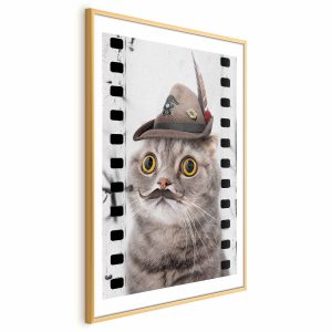 Plakat Kot w kapeluszu 60×90 cm 589355