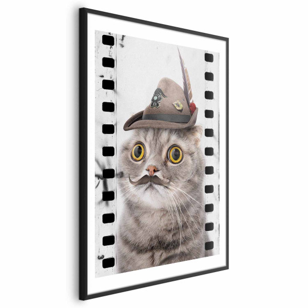 Plakat Kot w kapeluszu 60x90 cm 591430