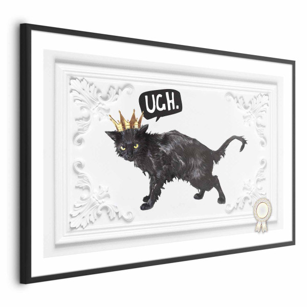 Plakat Kot w koronie 90x60 cm 581025