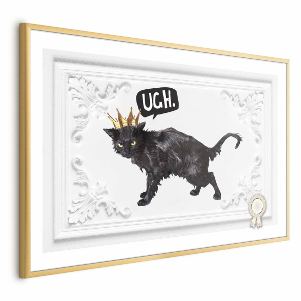Plakat Kot w koronie 90x60 cm 579934
