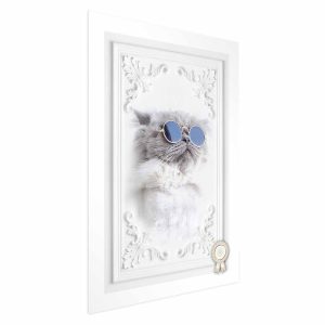 Plakat Kot w okularach 21×30 cm 584452