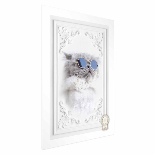Plakat Kot w okularach 21x30 cm 584452