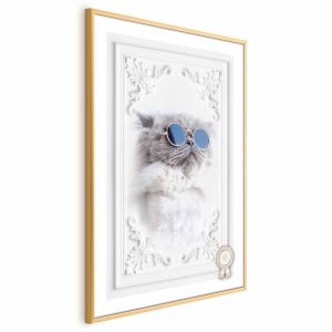 Plakat Kot w okularach 21×30 cm 585457