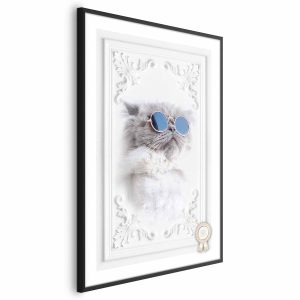 Plakat Kot w okularach 21×30 cm 585579