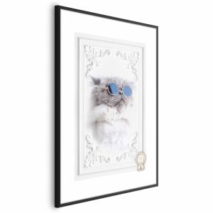 Plakat Kot w okularach 21×30 cm 588367
