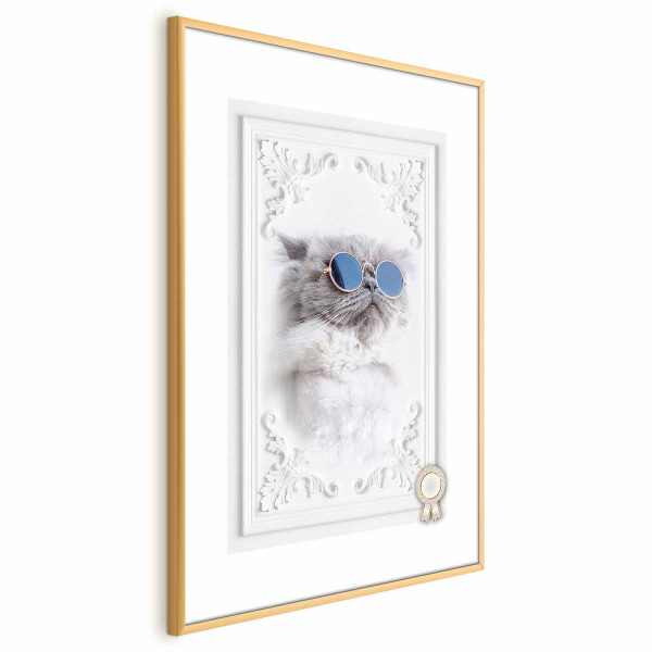 Plakat Kot w okularach 29,7x42 cm 584328