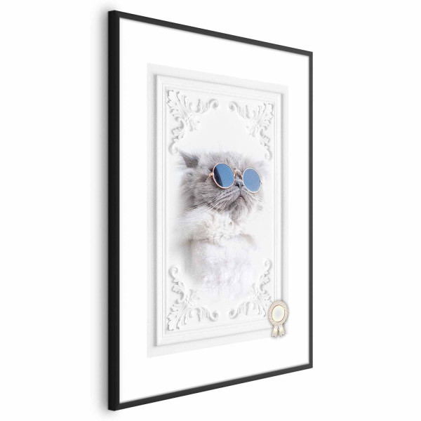 Plakat Kot w okularach 40x60 cm 590251