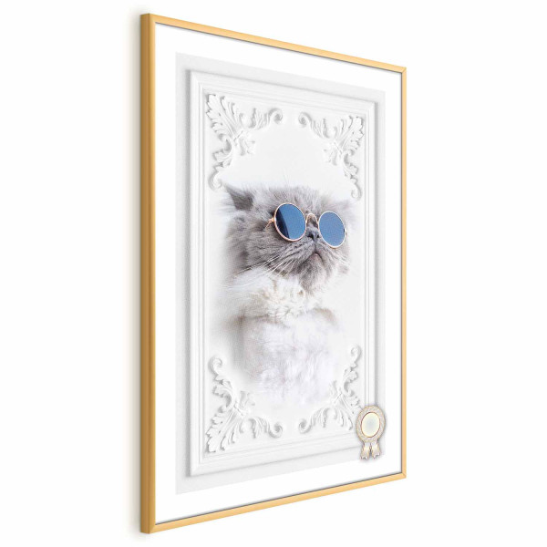 Plakat Kot w okularach 60x90 cm 585468