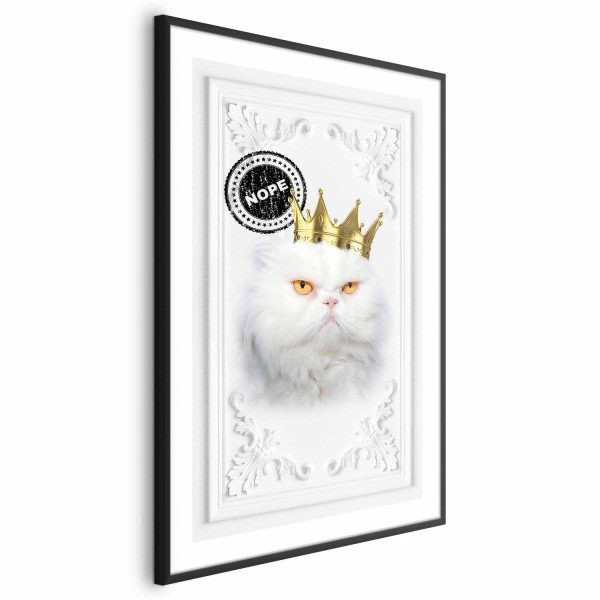 Plakat Król kot 29,7x42 cm 588972