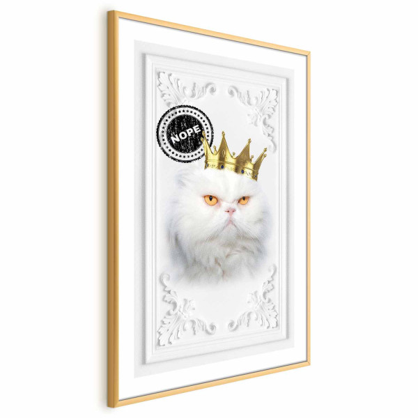 Plakat Król kot 60x90 cm 589116