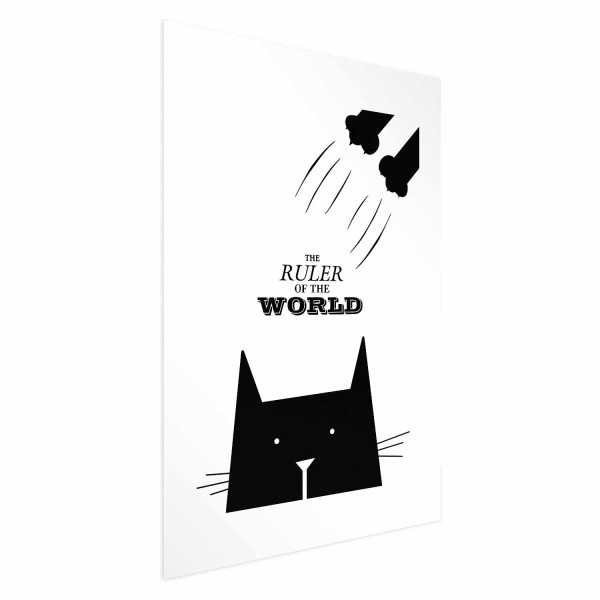 Plakat Król świata 21x30 cm 581928