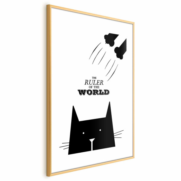 Plakat Król świata 40x60 cm 586853
