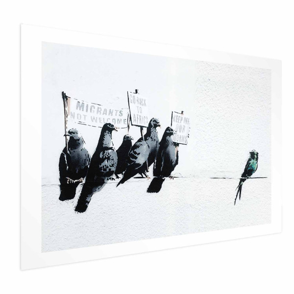 Plakat Ksenofobiczne gołębie 60x40 cm 579103