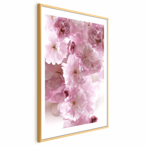 Plakat Kwiecista mgła 40x60 cm 576996
