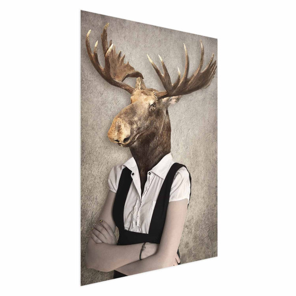 Plakat Łebski łoś 21x30 cm 591105