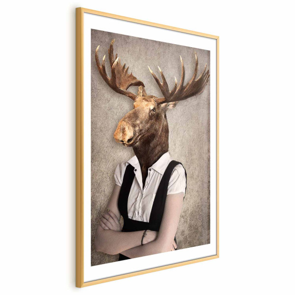 Plakat Łebski łoś 40x60 cm 588721