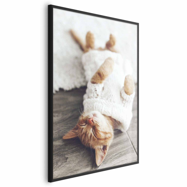 Plakat Leniwy kot 21x30 cm 586840