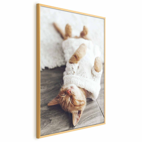 Plakat Leniwy kot 21x30 cm 578191